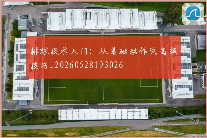 排球技术入门:从基础动作到高级技巧_20260528193026